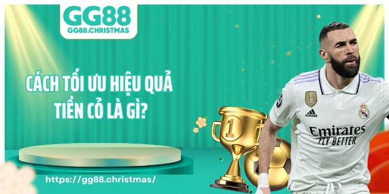 Cách tối ưu hiệu quả tiền cỏ là gì?